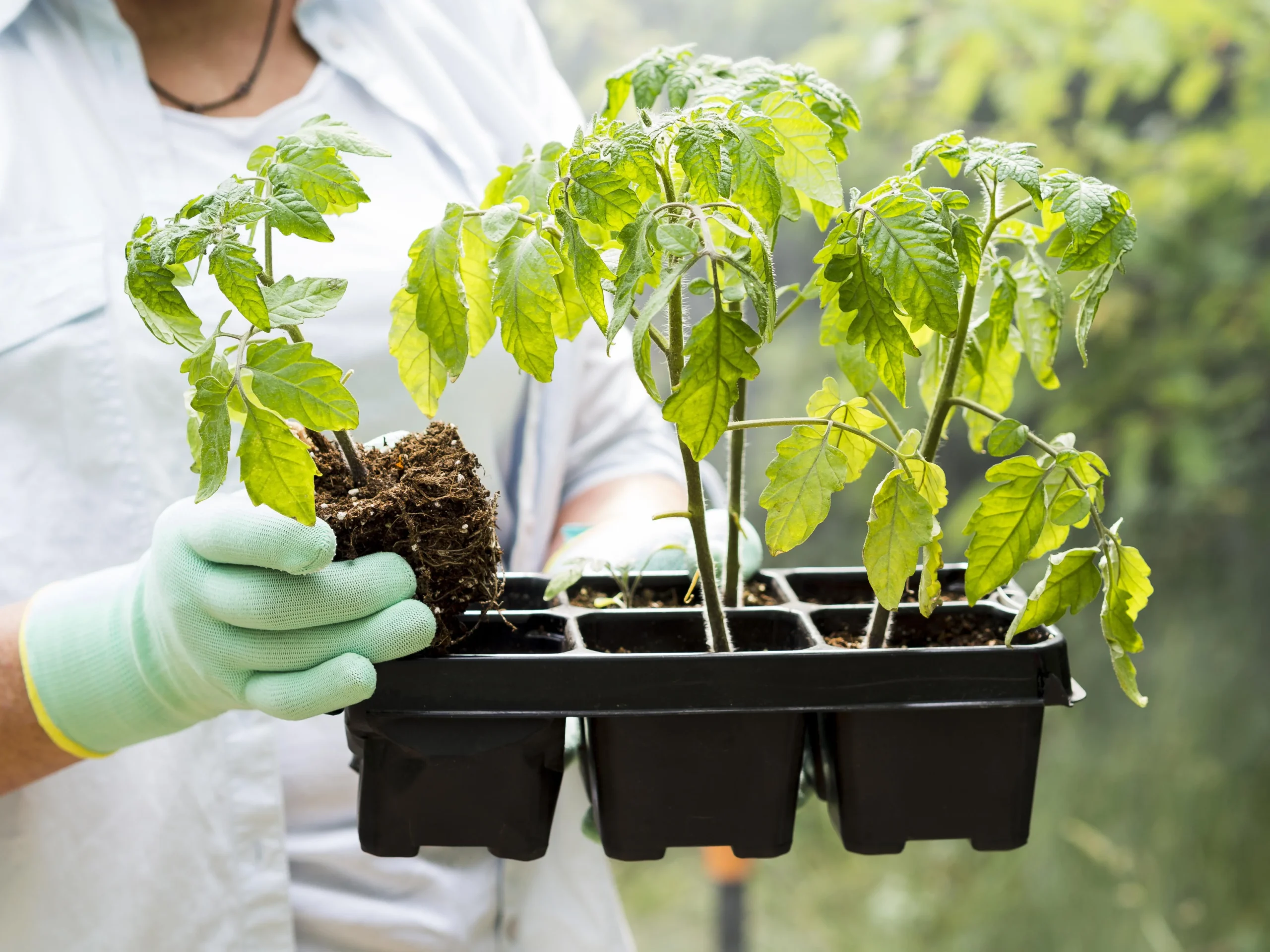 woman-holding-some-flowerpots