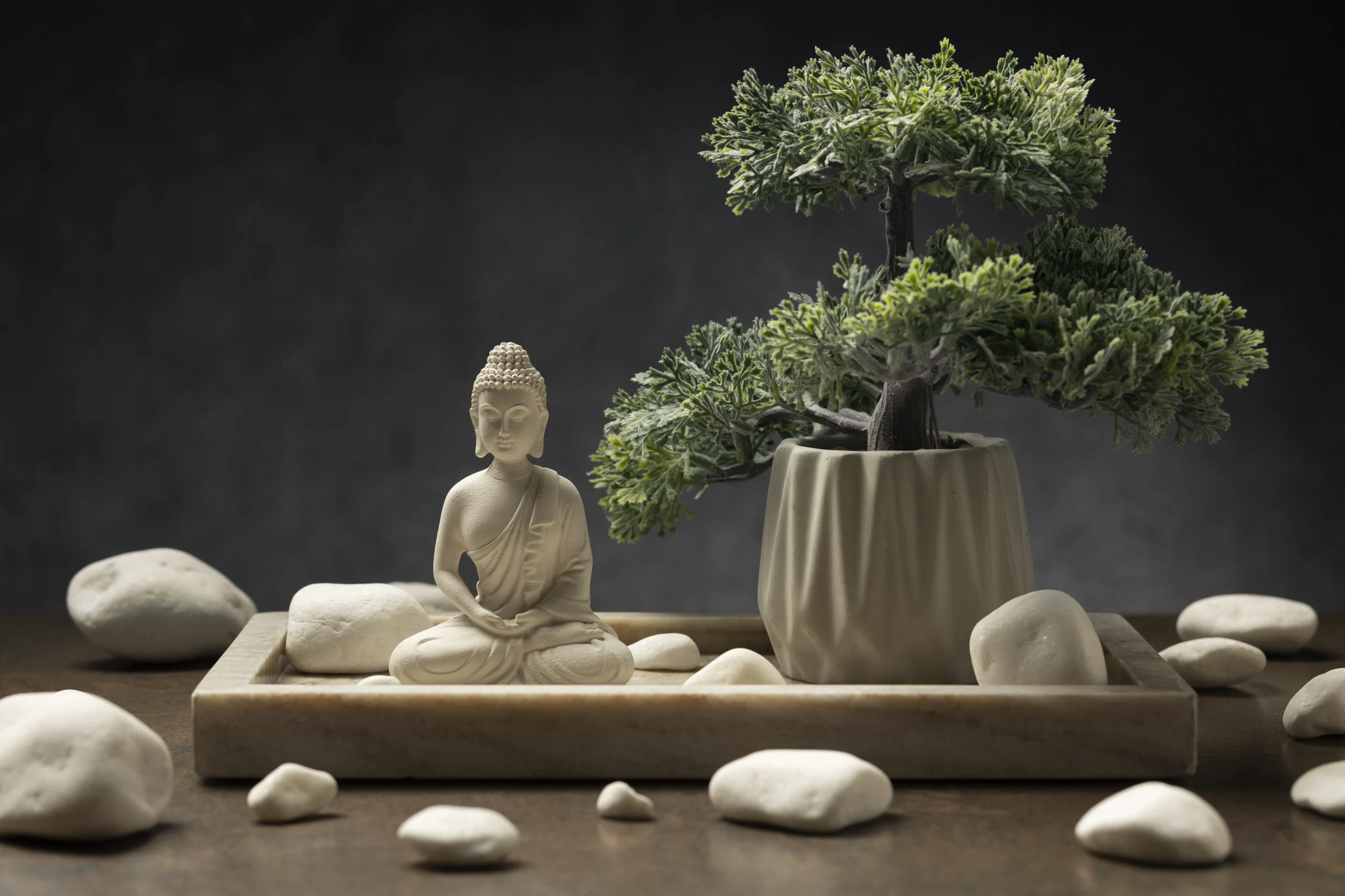 Bonsai