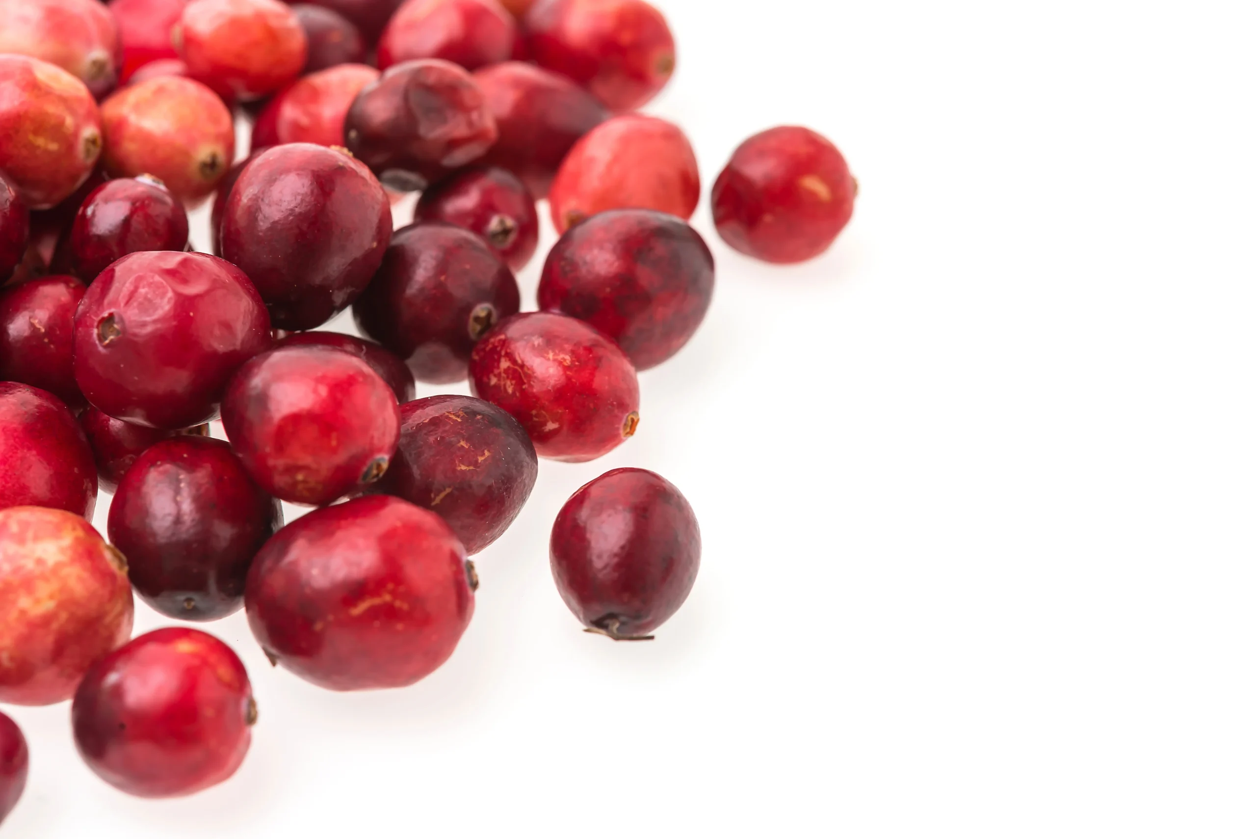 Arándano - Cranberry