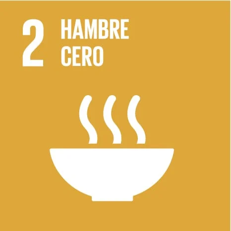 ODS 2 – HAMBRE CERO