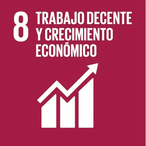 ODS 8 – TRABAJO DECENTE Y CRECIMIENTO ECONÓMICO