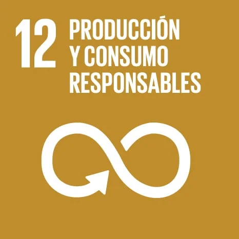 ODS 12 – PRODUCCIÓN Y CONSUMO RESPONSABLE