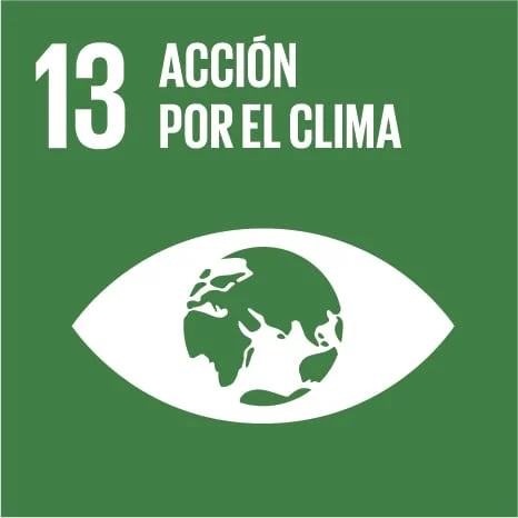 ODS 13 – ACCIÓN POR EL CLIMA