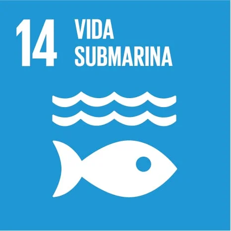 ODS 14 – VIDA SUBMARINA