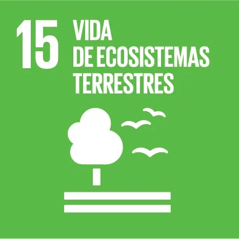 ODS 15 – VIDA DE ECOSISTEMAS TERRESTRES