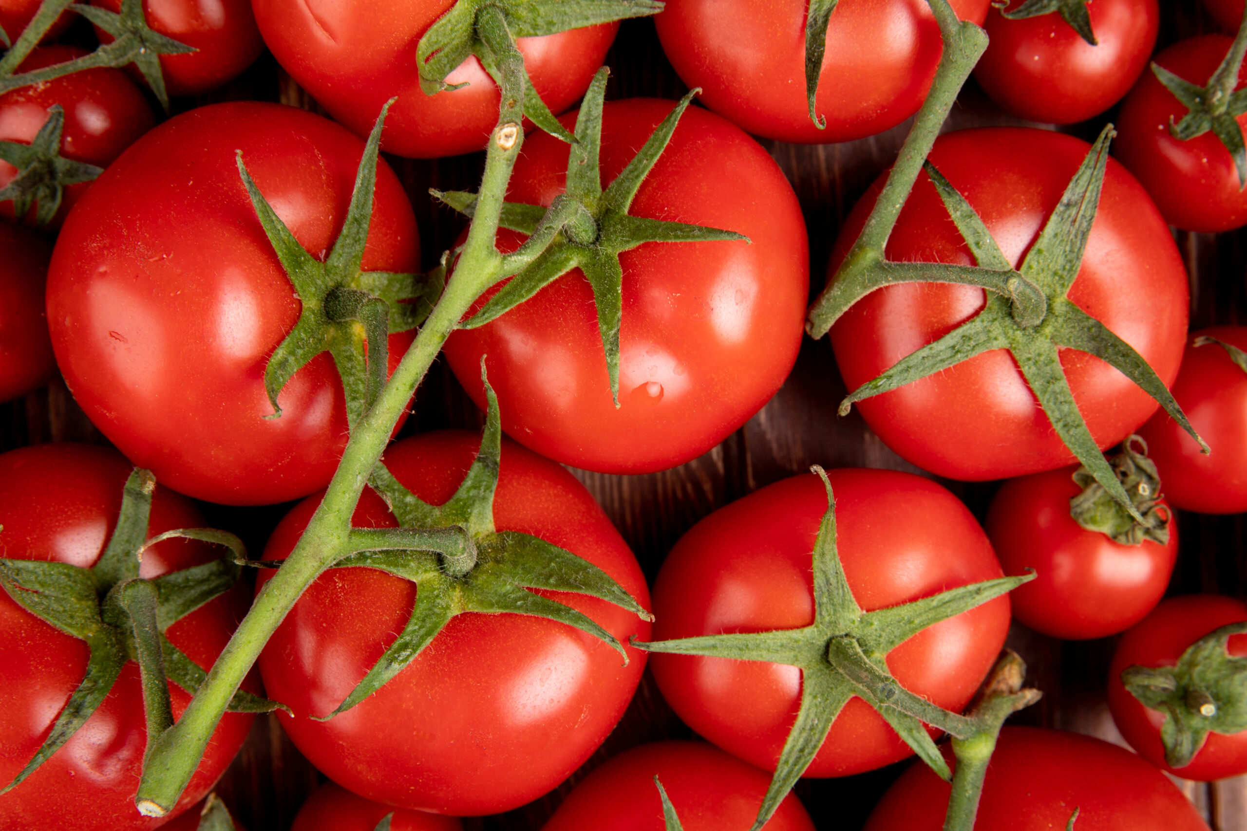 close-up view of tomatoes on wooden background