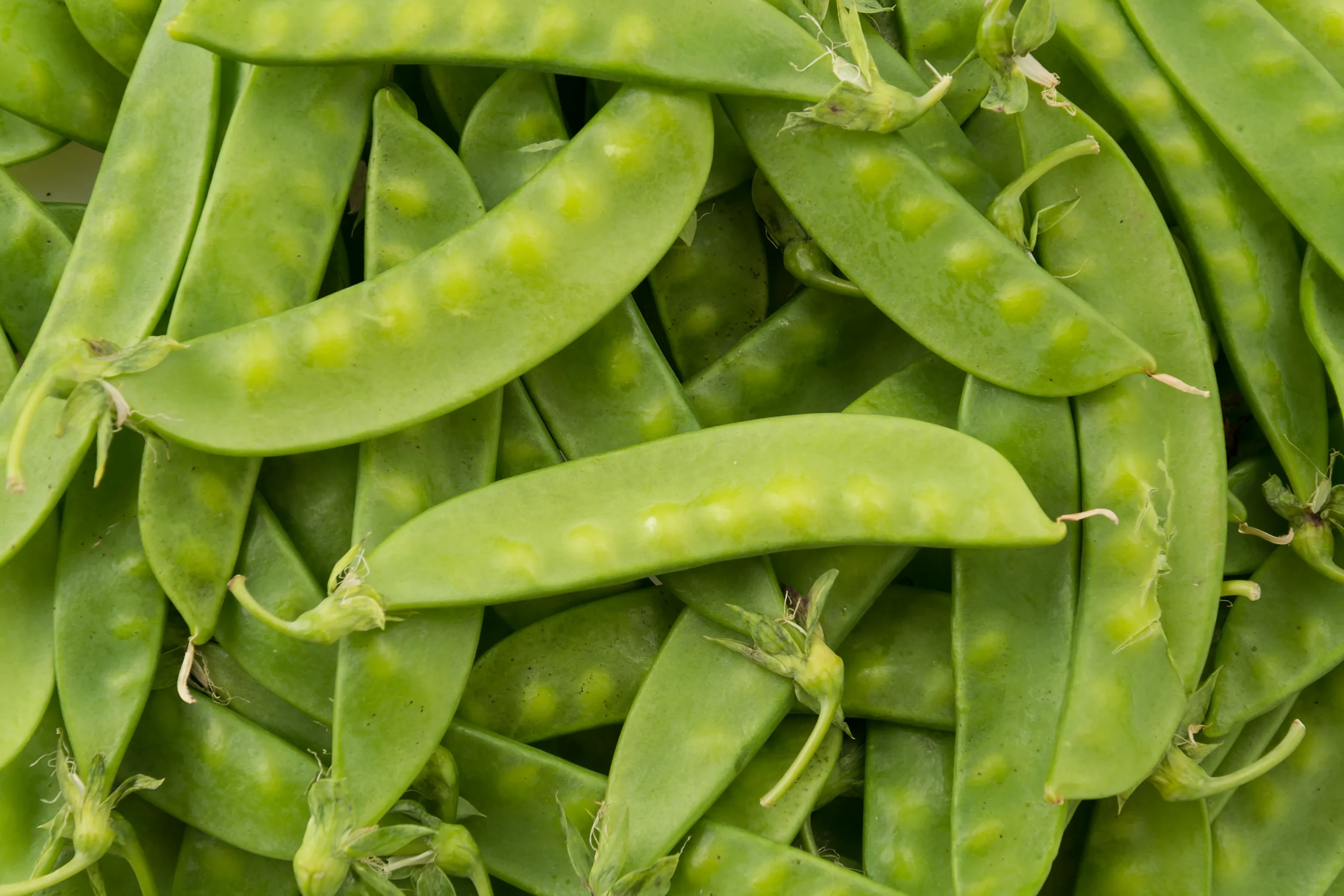 Guisantes