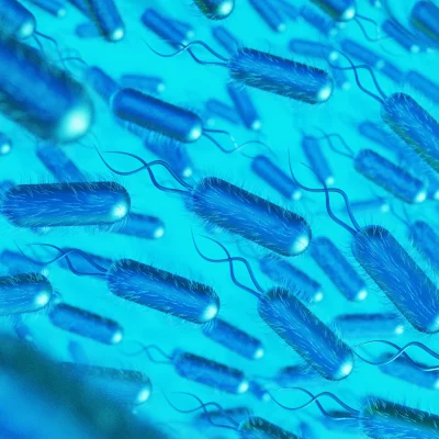 Recuento de coliformes totales, fecales y E. coli