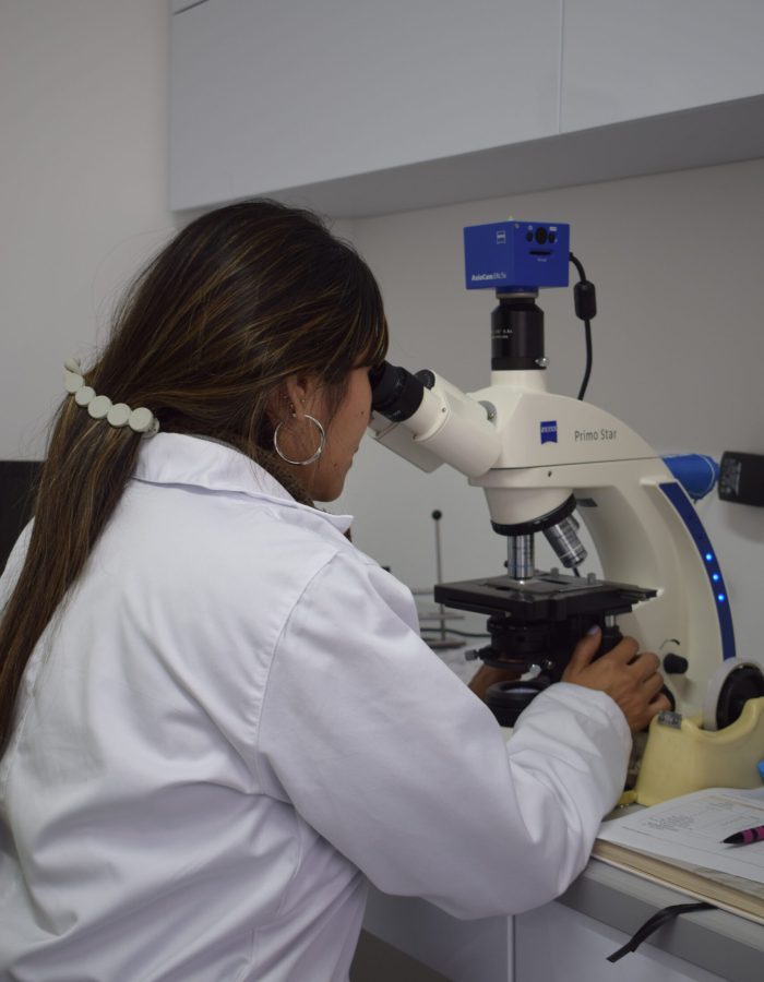 Prueba de antagonismo en hongos y bacterias