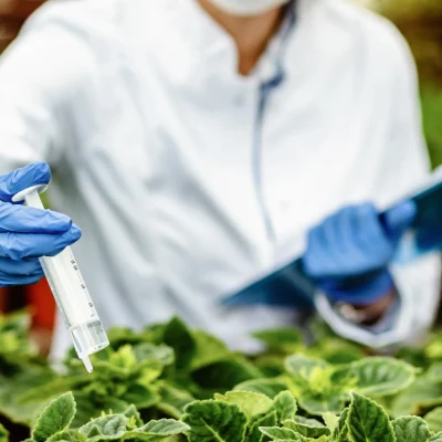 Pruebas de patogenicidad