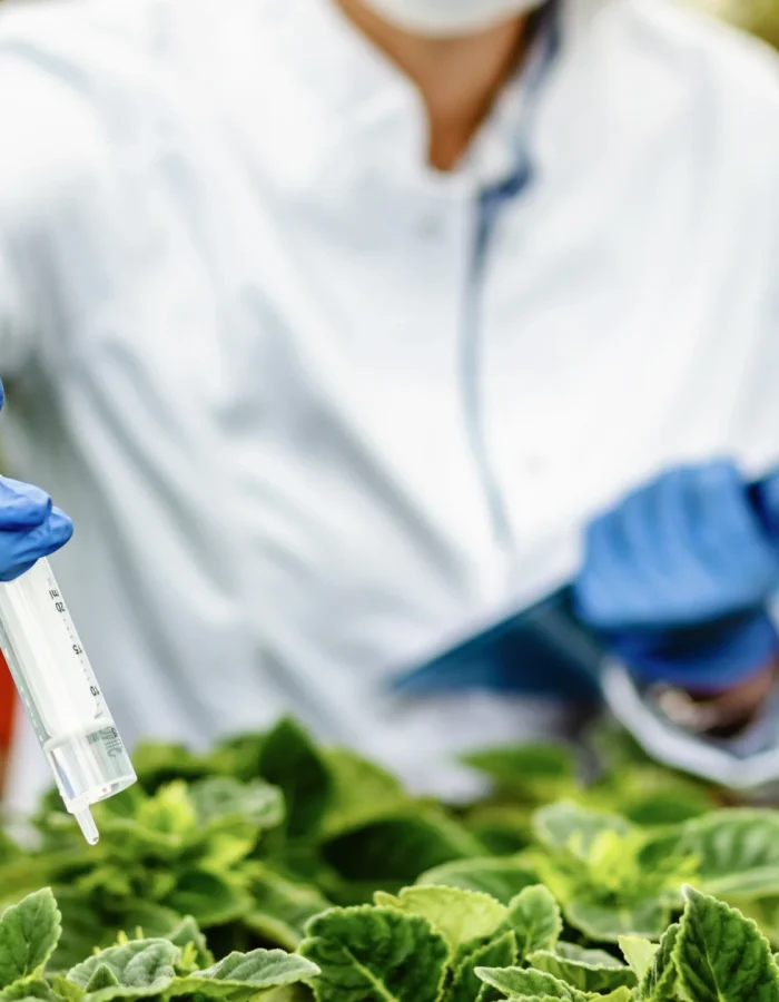 Pruebas de patogenicidad