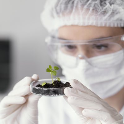 Recuento de géneros de microorganismos en ambiente