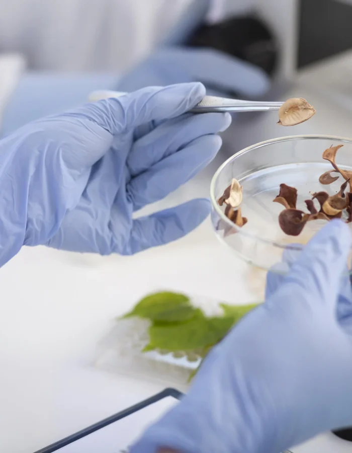 Aislamiento secundario y purificación del patógeno